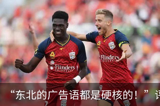 “东北的广告语都是硬核的！”评论区笑麻了，真省事啊！
