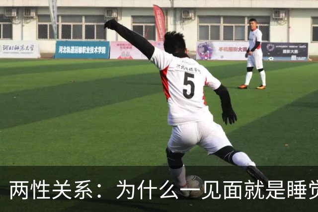 两性关系：为什么一见面就是睡觉，一有机会就不停发生关系？