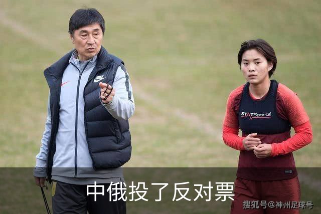 中俄投了反对票
