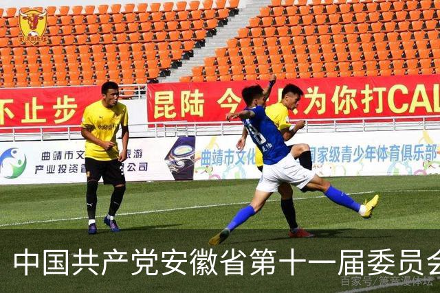 中国共产党安徽省第十一届委员会第十三次全体会议决议