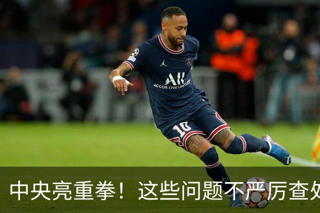 中央亮重拳！这些问题不严厉查处的，直接追究地方领导责任！