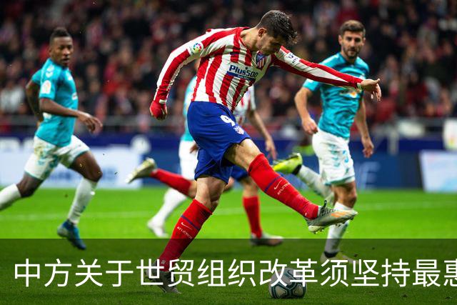 中方关于世贸组织改革须坚持最惠国待遇原则等主张得到广泛支持