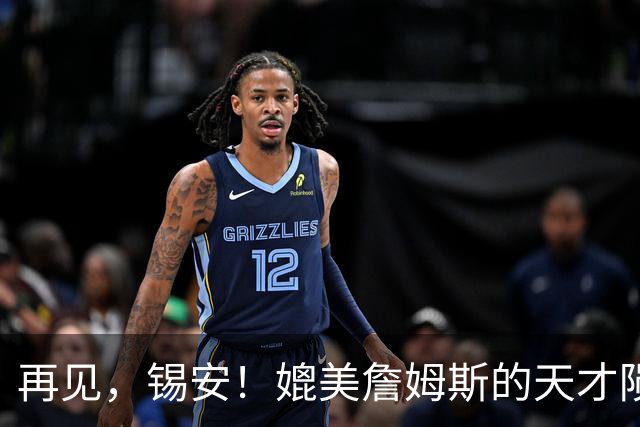 再见，锡安！媲美詹姆斯的天才陨落了……