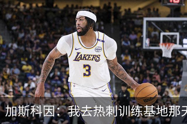 加斯科因：我去热刺训练基地那天，就知道这赛季要出事
