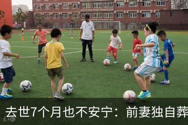 去世7个月也不安宁：前妻独自葬美国，李昌钰被二婚妻子带回江苏