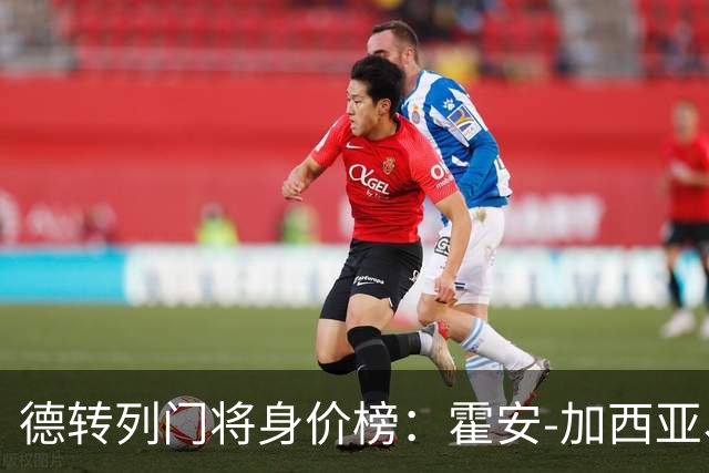 德转列门将身价榜：霍安-加西亚、多纳鲁马4500万欧并列最高