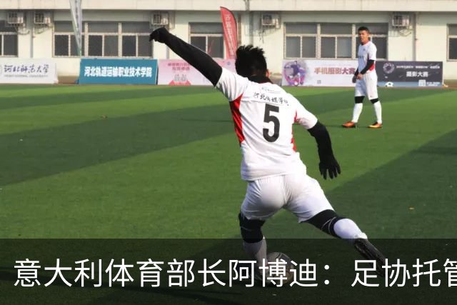 意大利体育部长阿博迪：足协托管属于体育自治范畴