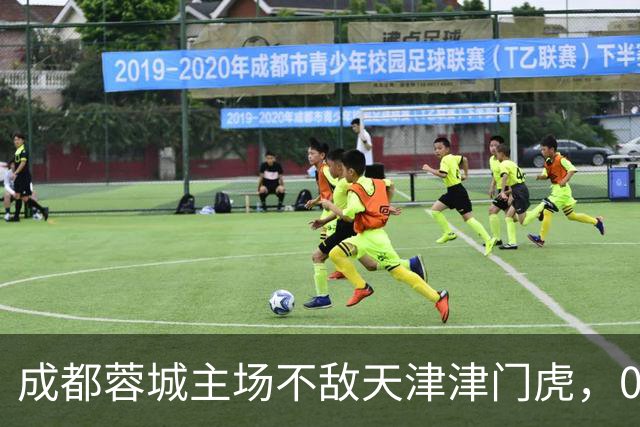 成都蓉城主场不敌天津津门虎，0比1遗憾失利