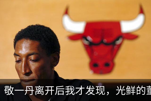 敬一丹离开后我才发现，光鲜的董卿，居然和她有着一模一样的处境