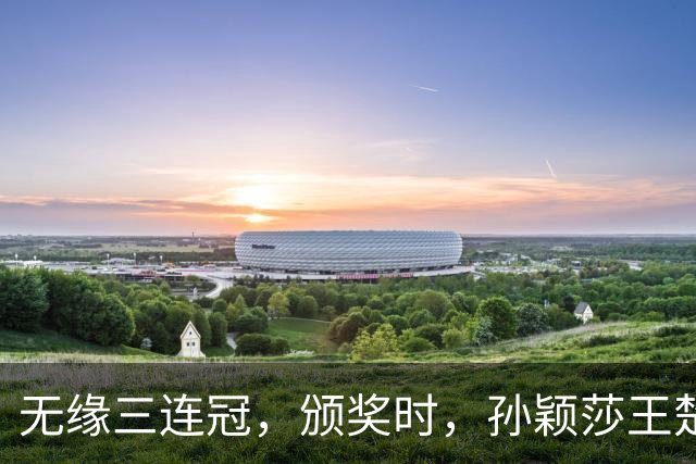 无缘三连冠，颁奖时，孙颖莎王楚钦为何开心互动？谁注意王楚钦表态