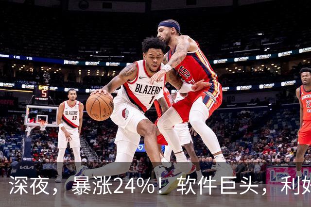 深夜，暴涨24%！软件巨头，利好引爆！