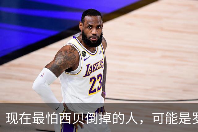 现在最怕西贝倒掉的人，可能是罗永浩