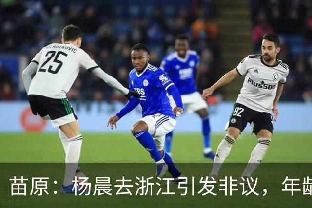 苗原：杨晨去浙江引发非议，年龄和工作经历不符合条件