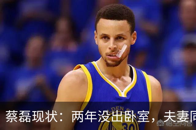 蔡磊现状：两年没出卧室，夫妻同城却基本不见，妻子专职带货？