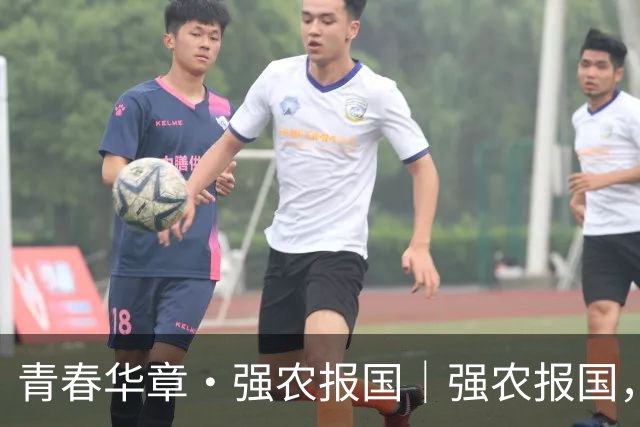青春华章·强农报国｜强农报国，青春何为？青年学子这样说！