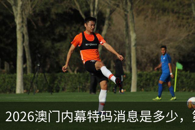 2026澳门内幕特码消息是多少，第292期新门澳内幕三中三预测，新六合彩精准一肖一码推荐，精准资料大全